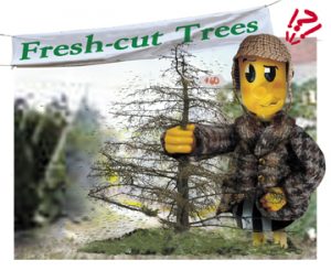 willie-tree